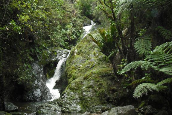 Natural pot hole waterfalls and spring-fed swimming holes tucked away in the native bush at Whitestar Station.